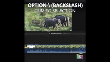 Final Cut Pro Shortcut | Option-\ (Backslash) | Trim to Selection