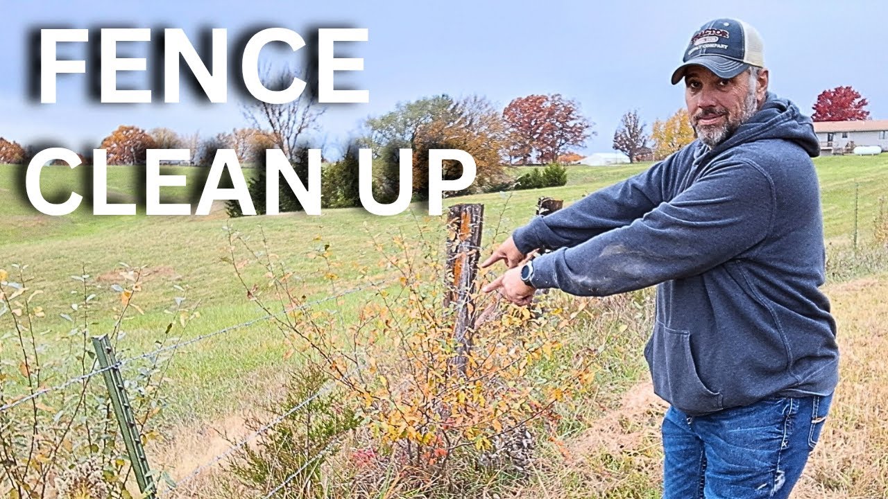 I Let My Fence Grow Up with Some Brush Now I Have to Clean It Up! - YouTube