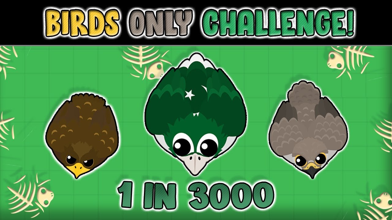 MOPE.IO - GETTING PAKISTAN MACAW IN THE BIRDS ONLY CHALLENGE // MOPE.IO RARES