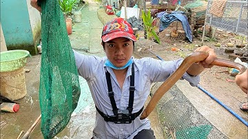 Tập 55: lần đầu đặt 12 cửa ngục dính nhiều rắn và rùa, con lươn 520gr