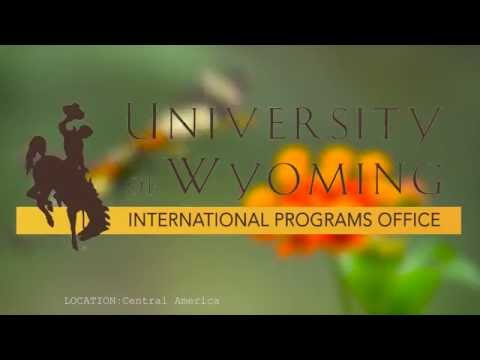 UW International Programs || Jake Goheen