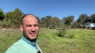 Sold / vendido - Property with construction and plenty of water for sale in Castelo Branco