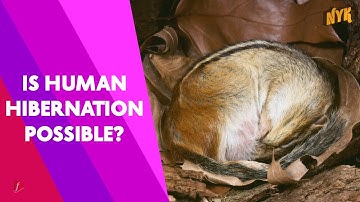 How Does Hibernation Works?