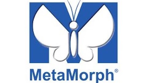 Running a Prime sCMOS Camera in MetaMorph Software