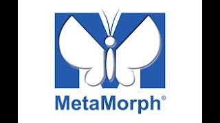 Running a Prime sCMOS Camera in MetaMorph Software