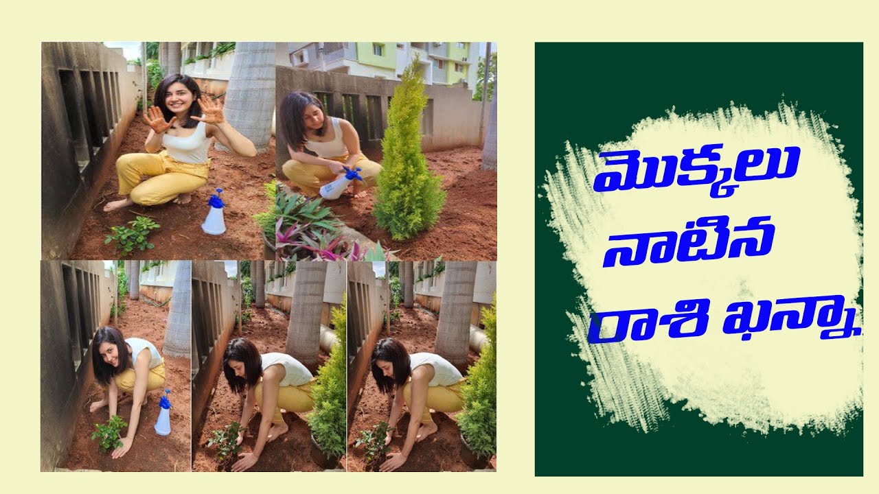 Rashi Khanna Actress accepted Green Challenge given by Rashmika Mandanna | GreatTelangana TV