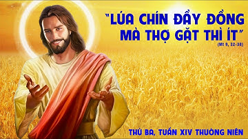 🔴Trực Tuyến - Thánh Lễ Thứ Ba Tuần XIV Mùa Thường Niên