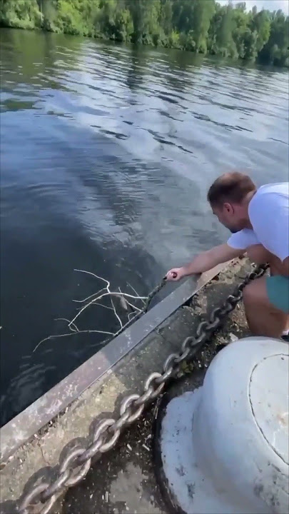 Man Saving a Drowning Squirrel From a Reservoir in a Heroic Scene