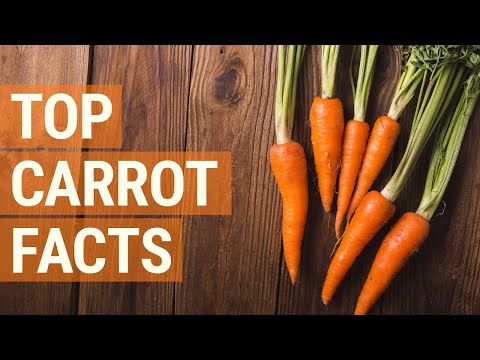 Video: All About Carrots