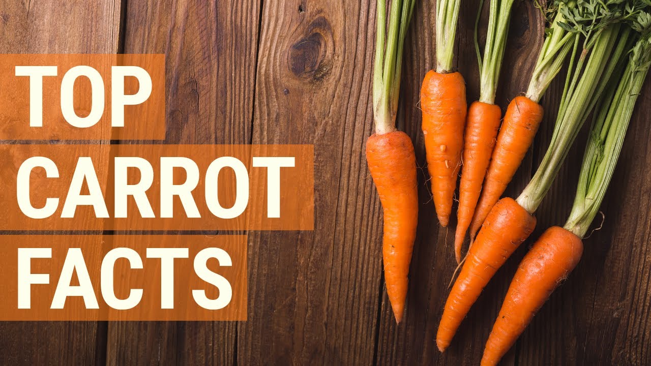 Carrot what top? about interesting some facts are 