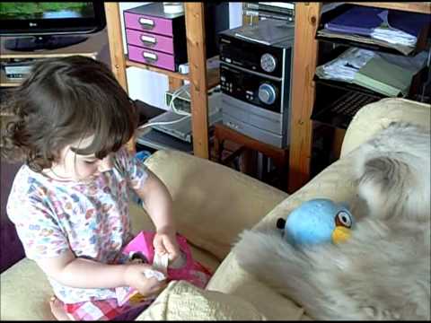 How To Make A Cat Unconscious With Chloform How To Make A Cat Unconscious With Chloform