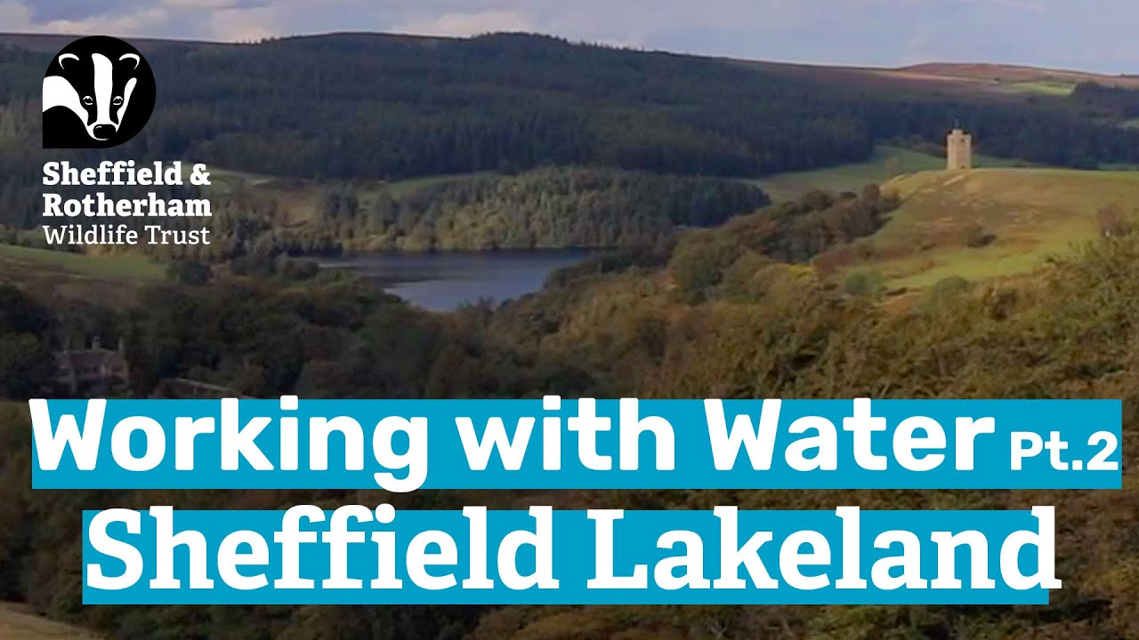 Working with Water in the Sheffield Lakeland Pt.2 | Sheffield & Rotherham Wildlife Trust