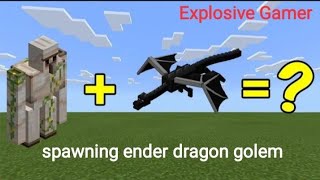 Spawning Ender Dragon Golem In Minecraft. Spawning Ender Dragon Golem In Minecraft.