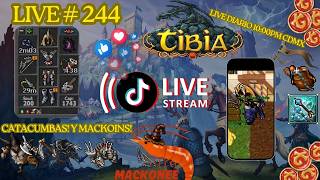 HUNT FACIL!!| CATACUMBAS WEST! | PROFIT! | RP 550+ | Live #244 #tibia #cipsoft #mmorpg #tbiaglobal