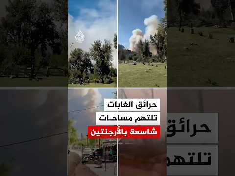 الأرجنتين حرائق الغابات تلتهم مساحات شاسعة من مقاطعة تشوبوت