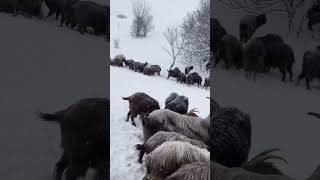 Sizden Ricam Beğeni Takip Etmeyi Unutmayın