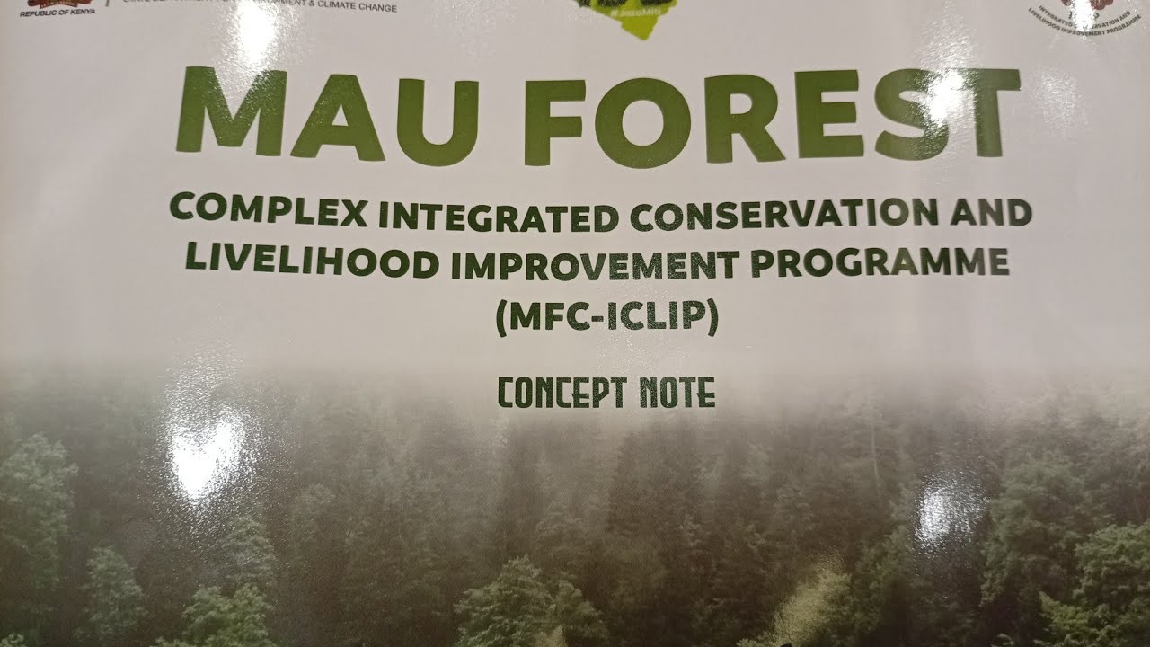 CS Environment: 33,138ha Mau Forest to Be Rehabilitated | 15 Billion Trees Target by 2032 🌳🇰🇪