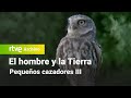 El hombre y la tierra: Capítulo 102 - Pequeños cazadores III | RTVE Archivo