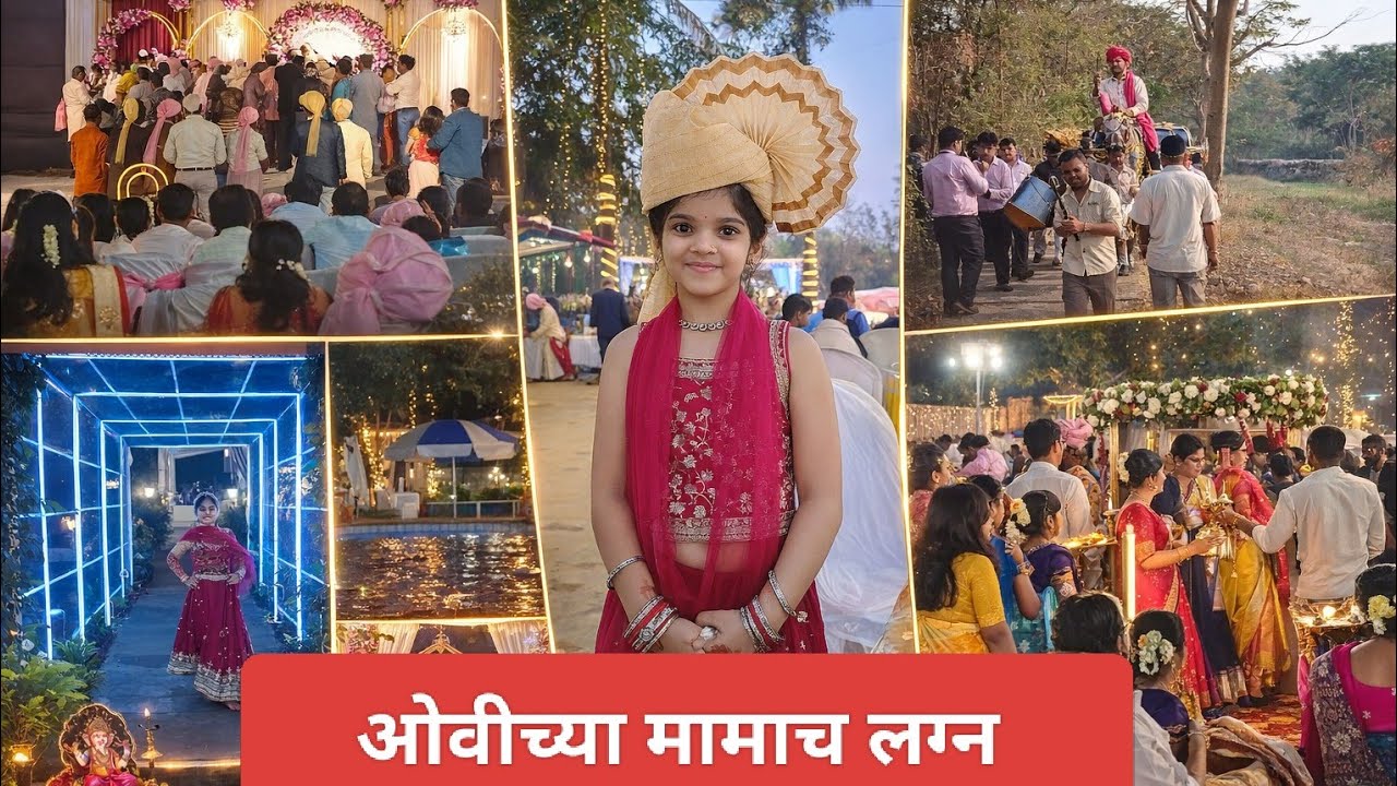 ओवीच्या मामाच लग्न #wedding #parrot #weddingphotography #sunconure  #birds #oveemumma #weddingdance