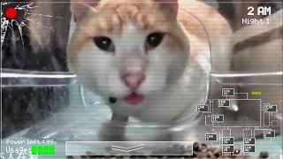 FNAF Cats: Five Nights at Feeder