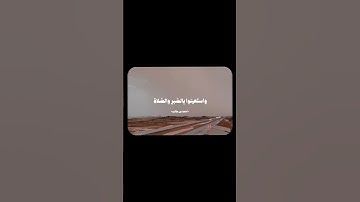 اكتب شيء تؤجر عليه ❤️. #القرآن_الكريم #تلاوة_خاشعة #اكسبلور #لايك #اجر_لي_ولك #يوتيوب #ترند #لايك