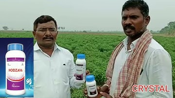 Advance Insecticide - HODZAVA - DH - TELUGU, Advance Insecticide crystal company