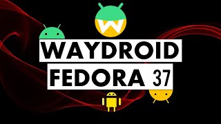 How to Install Waydroid on Fedora 37 Workstation | Waydroid in Fedora 37 Linux Waydroid