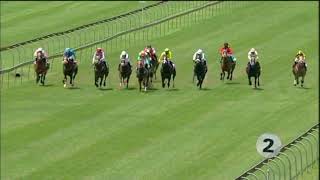Vidéo de la course PMU PRIX WWW.TABGOLD.CO.ZA MAIDEN JUVENILE PLATE