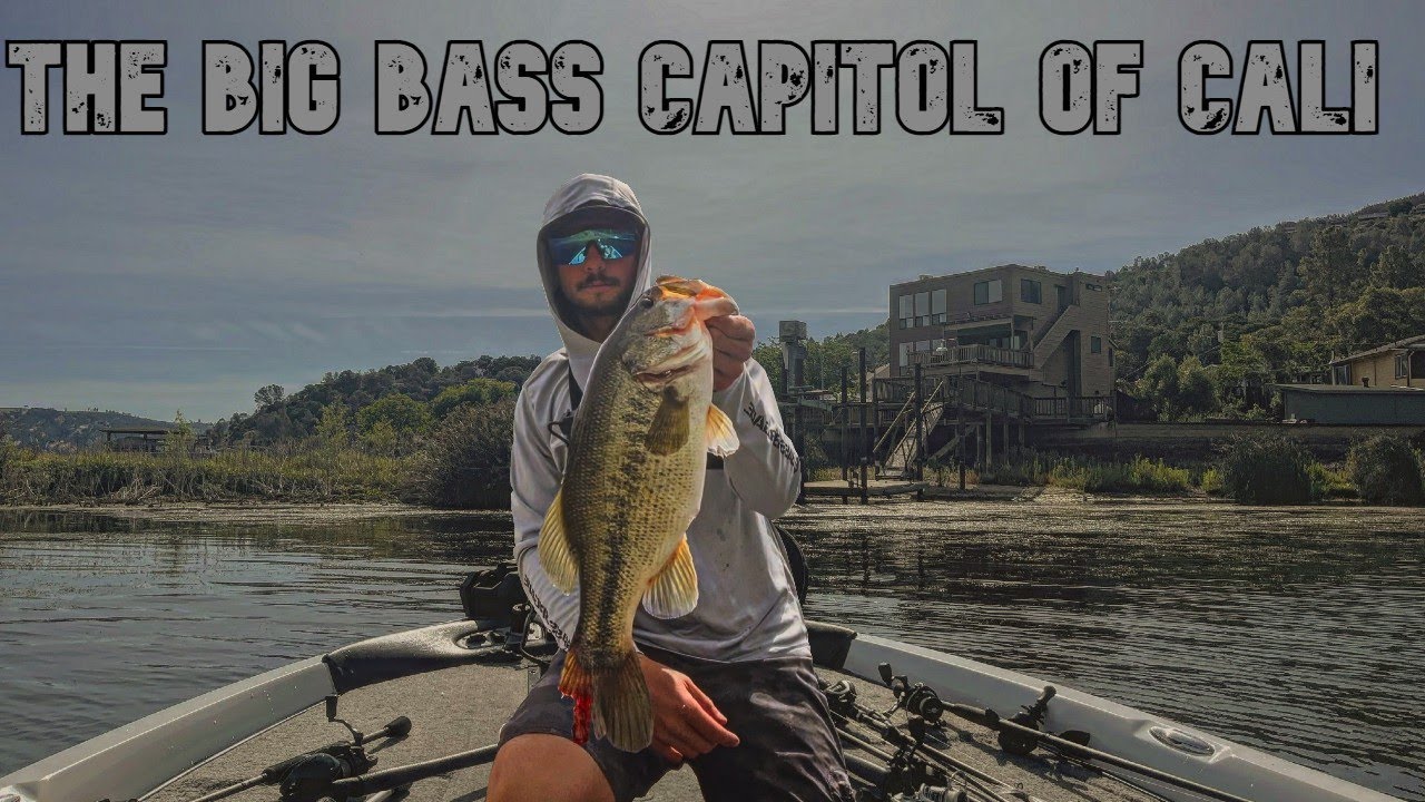 Smashing Big Bass On Frogs | Clear lake Bass Fishing