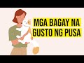 10 Bagay Na Gustong Gusto Ng Pusa