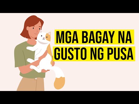 Video: Paano Makakilala ng Mga Pusa at Mamahalin Ka: 15 Hakbang