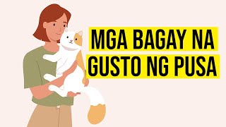 10 Bagay Na Gustong Gusto Ng Pusa