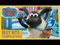 ⭐The Best Bits of New Timmy Time 🐑 Compilation ⭐