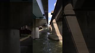 IMG 6950