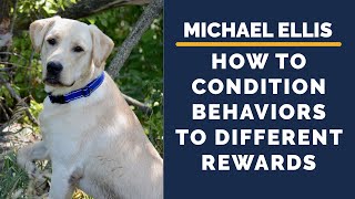 Michael Ellis on How to Condition Behaviors to Different Rewards