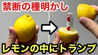 ichigoさま専用 レモン シーブス セルライトマジック mqdefault.jpg