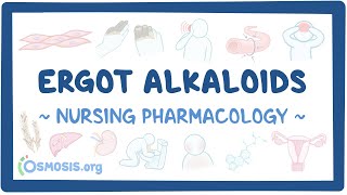 Ergot Alkaloids: Nursing Pharmacology- an Osmosis Preview