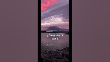 سورة الأنبياء {فَاسْتَجَبْنَا لَهُ وَنَجَّيْنَاهُ مِنَ الْغَمِّ ۚ وَكَذَٰلِكَ نُنجِي الْمُؤْمِنِينَ}