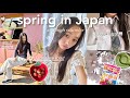 SPRING DAYS IN JAPAN 🌸 first day of high school, what I eat, kamakura & peaceful days