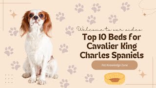 Top 10 beds for Cavalier King Charles Spaniel | Pet Knowledge Zone | #cutedogs #dogs #cutepuppies by Pet Knowledge Zone 22 views 1 year ago 4 minutes, 48 seconds