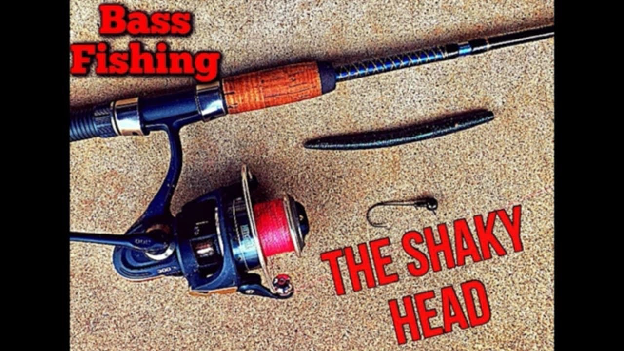 BASS FISHING THE SHAKY HEAD WITH A SENKO TIPS YouTube