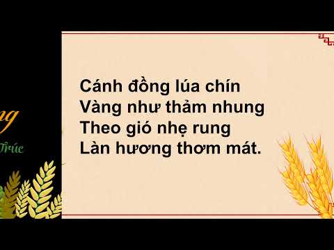 Bài thơ: Cánh đồng lúa vàng