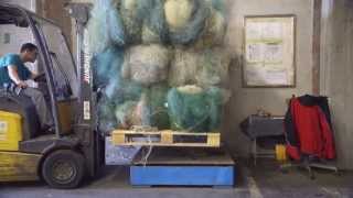 Celebrity Introducing the ocean-inspired Net Effect, the latest carpet tile collection from Interface (07:50) Profile