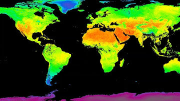 Global Land Surface Temperature from 2020 as Observed by Terra MODIS