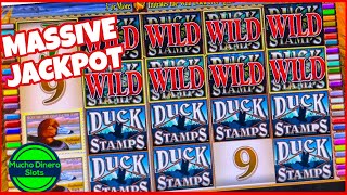 HUGE HIGH LIMIT JACKPOT 🟢 FREE GAMES AND I KEPT GETTING MORE SPINS 🟢 DUCK STAMPS SLOT JACKPOT