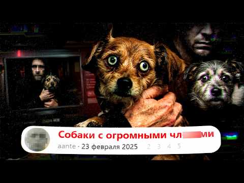 Самые МЕРЗКИЕ форумы ФEТuШИСТОВ