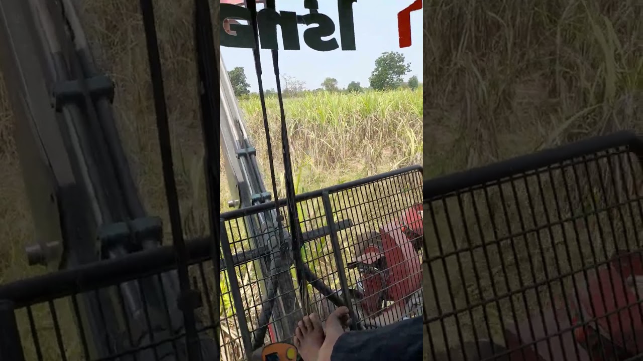 วิธีเปิดแปลงอ้อย และเทคนิกนิดๆหน่อยๆ