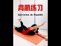 Wushu Kung Fu 242 Ejercicios Espinales 背肌训练