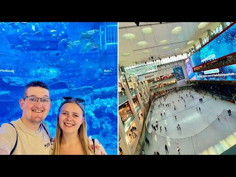 Video: Oceanarium in Dubai Mall: description, features, interesting facts and reviews