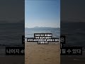 현명한 투자자의 연금생활#주식투자#ETF#연금저축펀드#ISA#노후대책